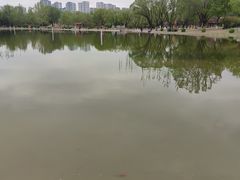 -太阳宫公园