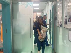 -北京观赏动物医院·24小时大型综合·猫专科·异宠专科