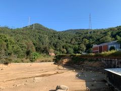 -泉州海丝野生动物世界