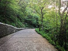 -紫金山山顶公园