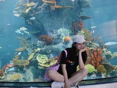 -福州罗源湾海洋世界旅游区