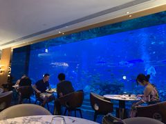 -亚特兰蒂斯•OSSIANO奥西亚诺海底餐厅