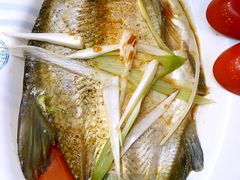 -农园餐厅(北京大学店)