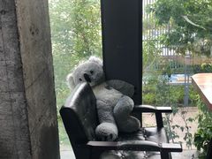 -了不起的考拉咖啡店(高新店)