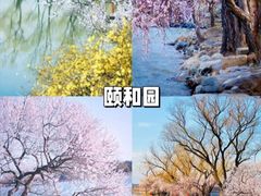 -颐和园