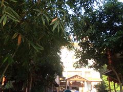 -竹庄餐馆·26年店(南昆山景区店)
