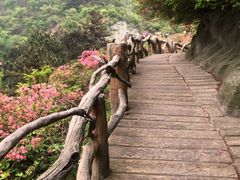 -木兰云雾山