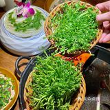 天呐‼️佛山这家火锅店的毛肚居然是绿色的❗️