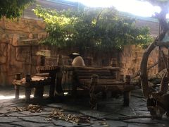 -泉州海丝野生动物世界