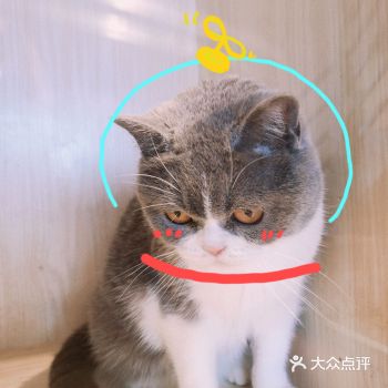 就在我们小区楼下的一家宠物店  店里主要是卖宠物用品