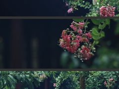 -太平天国历史博物馆(瞻园)
