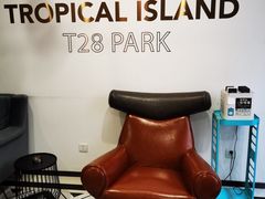 -T28PARK公园里