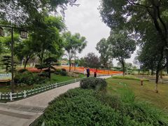 -铁山坪森林公园