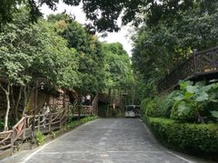 -海南槟榔谷黎苗文化旅游区