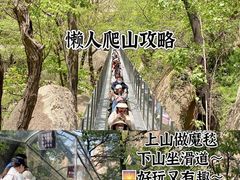-嵖岈山风景区
