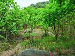 -郧西五龙河风景区