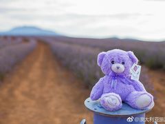 -聚乐荟生鲜食品超市(浦东广场店)