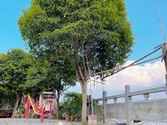 -洪江古商城