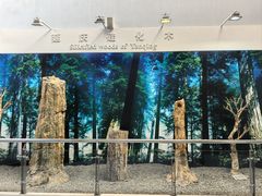 -延庆地质公园博物馆