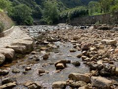 -北仑森林植物园