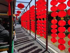 -同里国家湿地公园