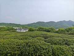 -中国茶叶博物馆(双峰馆区)