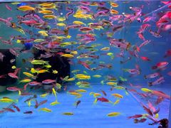 -双季花艺园艺市场(浦东店)