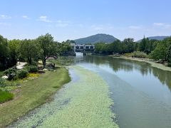 -长广溪湿地公园
