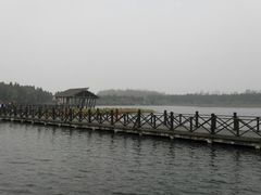 -溱湖国家湿地公园