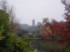 -重庆园博园