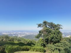 -黄埔油麻山森林公园