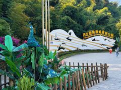 -西双版纳原始森林公园