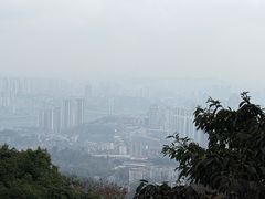 -林中乐辣子鸡(歌乐山总店)