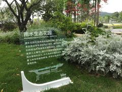 -渤公岛生态公园