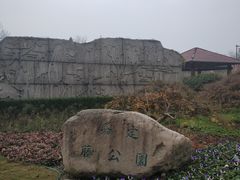 -嘉定紫藤园