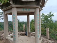 -树山生态村