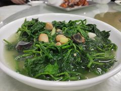 皮蛋桑叶-根哥美食大雁岛(魁东一路店)