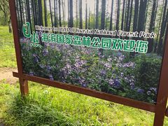 -日照海滨国家森林公园