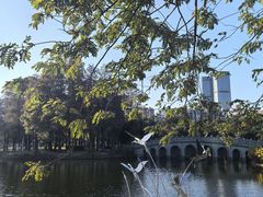 -四海公园(南山区)