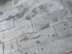 -大连金石滩绿发温泉假日酒店