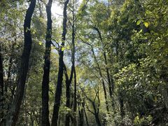 -西湖风景区十里琅珰-五云山