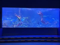 -重庆欢乐海底世界