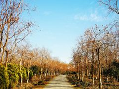 -上海海湾国家森林公园