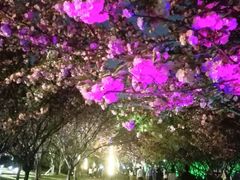 -苏州河梦清园环保主题公园