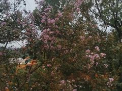 -恬阿姨庭院餐厅·生日宴