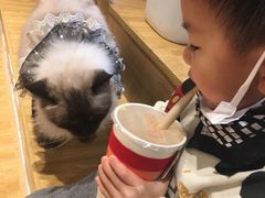 -啵啵喵·猫咖(攀华国际店)