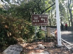 -青芝山风景名胜区