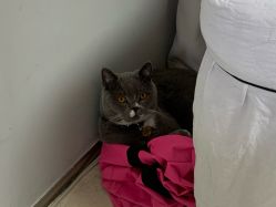 -Pink You美甲美睫纹绣定制中心