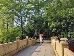 -晓港公园