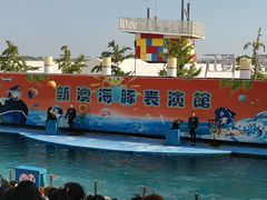 -秦皇岛新澳海底世界